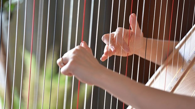 Instruments et musique du patrimoine à la Société d’histoire