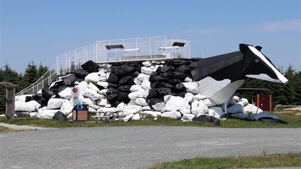 La vache vous attends dans les hauteurs de St-Georges