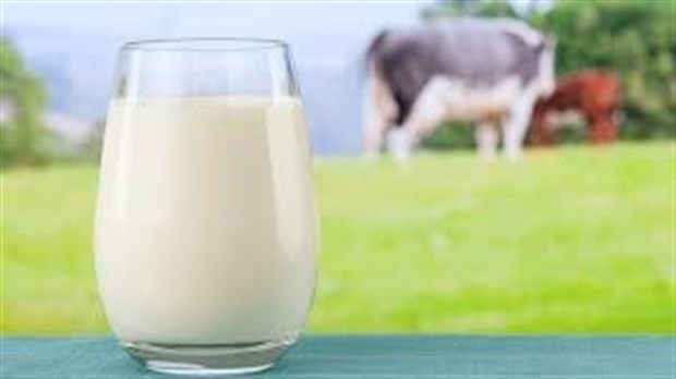 La Ferme Daniel et Johanne Bombardier de Maricourt s’illustre pour la qualité de son lait