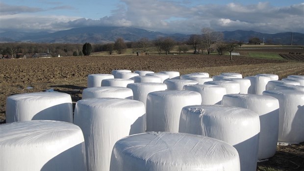 Plus de plastique agricole collecté dans la MRC du Val-Saint-François
