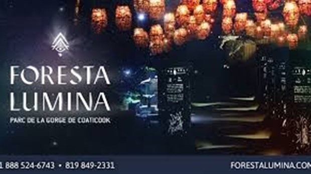 Foresta Lumina, une activité du tonnerre à vivre et à revivre! 