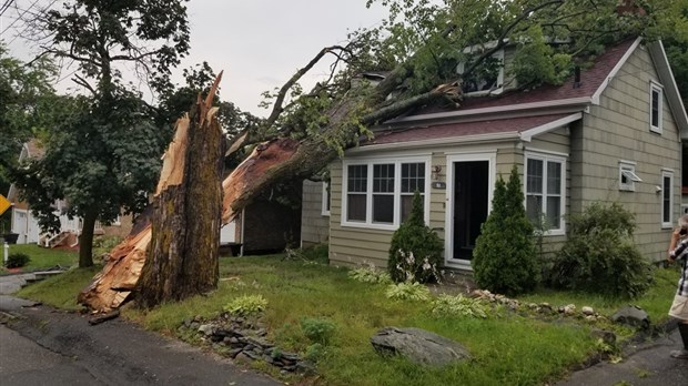 Danville sévèrement touchée par une tempête