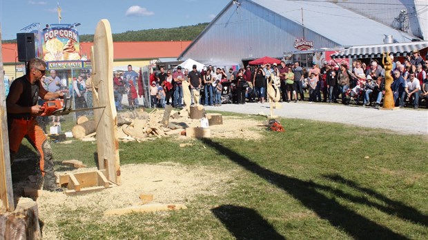 Le sculpteur d’arbres Jacques Pissenem de retour à l’Expo Richmond