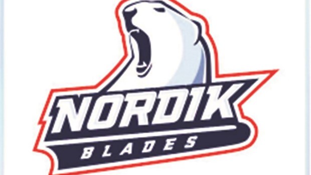 Plus d’une trentaine de joueurs présents au camp du Nordik Blades