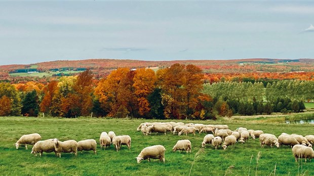 Parfum de succès