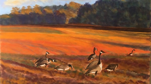 La vie en couleurs pastel