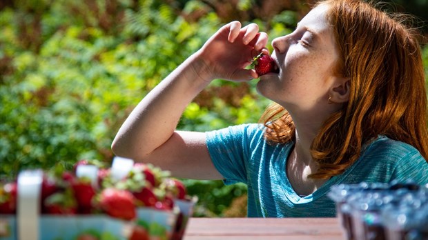 La MRC des Sources rend hommage aux producteurs agricoles et maraîchers dans sa vidéo Fier de nos fraîcheurs