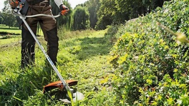 Remerciements, Reconnaissance et Appréciation 