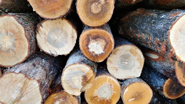 Négociation collective : les producteurs forestiers du sud du Québec en attente
