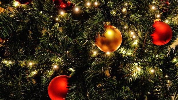 Les sentiers de Noël à l’école secondaire de Bromptonville