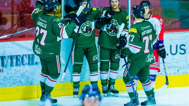 Le Desjardins — Wild a un rendez-vous important avant les Fêtes