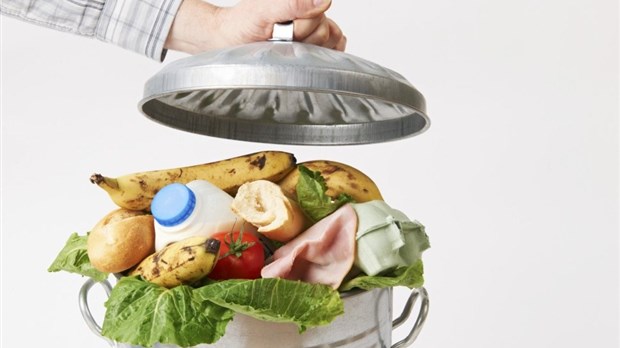 On ne jette pas les billets de banque à la poubelle, pourquoi le faire avec les aliments