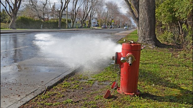 Rinçage annuel du réseau de distribution de l’eau pour les trois prochaines semaines