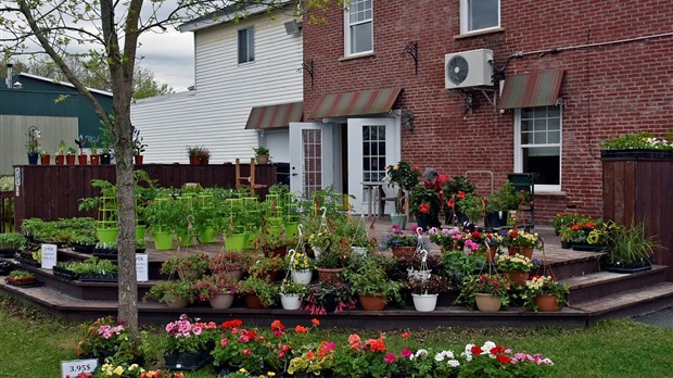 La vente de fleurs du Centre d’art et de la paroisse Ste-Bibiane est de retour