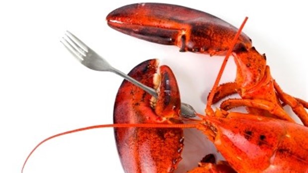 Souper homard pour une bonne cause