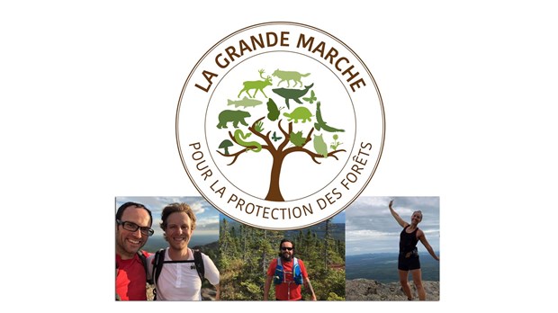 La Grande Marche pour la Protection des Forêts