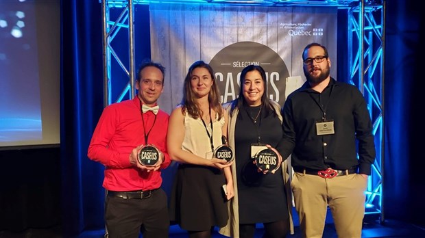 Le meilleur fromage du Québec est produit dans le Val-Saint-François