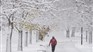 Préparez vos pelles: l'hiver sera rude et riche en tempêtes