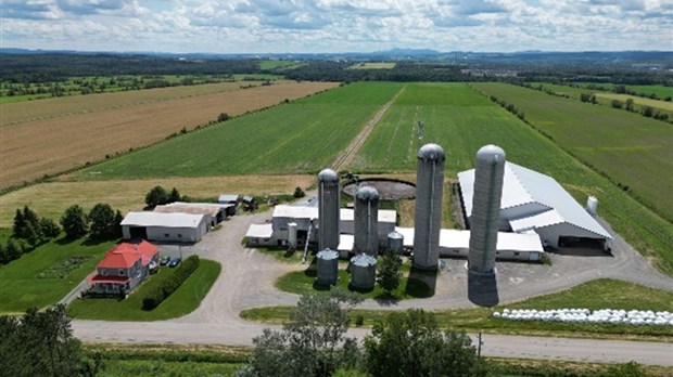 Une relève bien entamée et assurée dans le domaine laitier