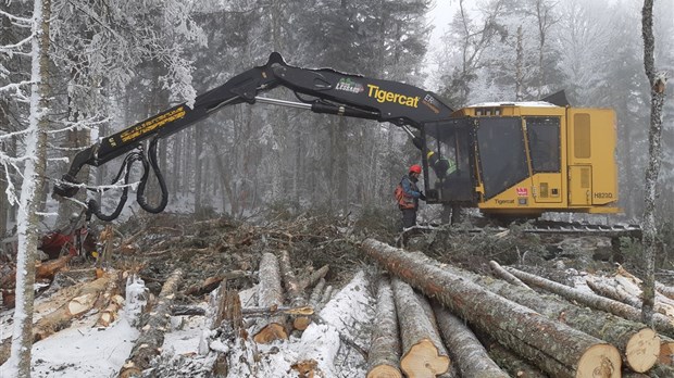 Les propriétaires forestiers fiers de contribuer à la vie économique d’ici