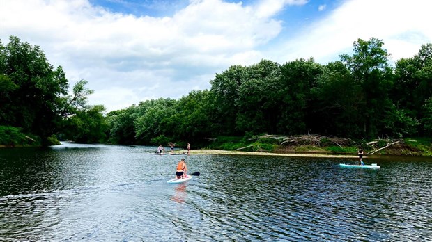 Camping Pura Vida Lodge & Sup