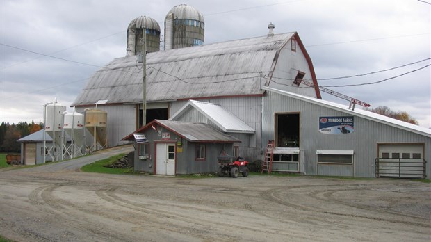 La Ferme Teebrook, championne régionale de la qualité du lait