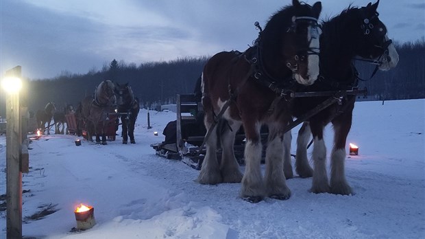 Un Sleigh ride aux flambeaux attire 350 personnes