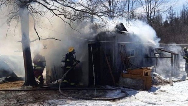 Des animaux d’exposition périssent dans un incendie