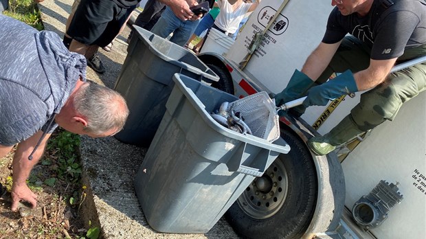 La Poudrière introduit près de 3000 truites dans la rivière Watopeka