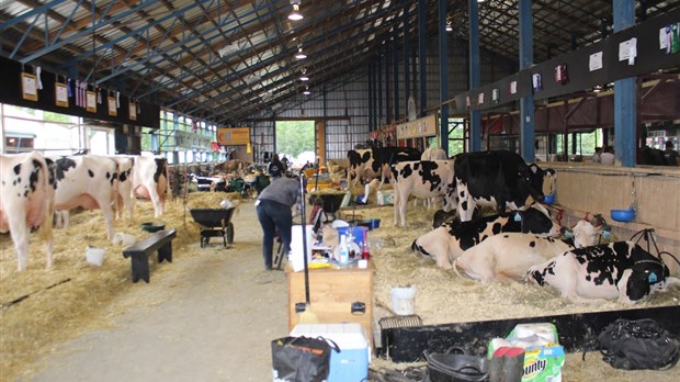 Un retour attendu pour l’Exposition agricole de Richmond