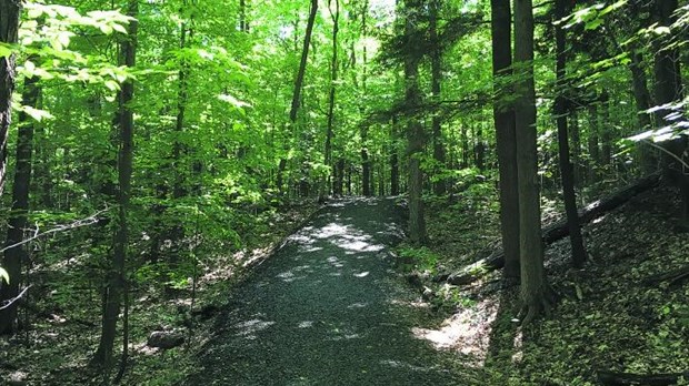 Intervention dans un sentier pédestre à Val-des-Sources