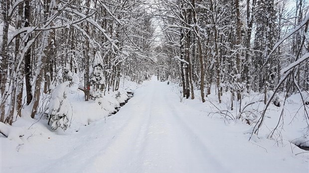 Un livreur enlisé dans un sentier de motoneige