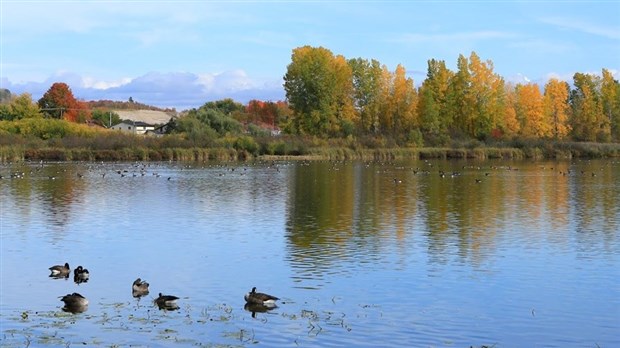 L’Étang Burbank accueille la 19e édition du festival des oiseaux migrateurs