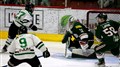 Le Desjardins – Wild double les Cougars à Warwick