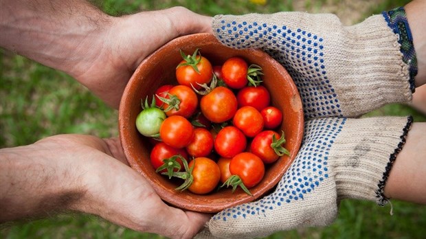 Un forum pour favoriser l’autonomie et la sécurité alimentaire