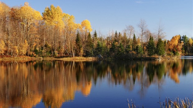 Un deuxième rendez-vous des partenaires s’organise dans le Val-Saint-François