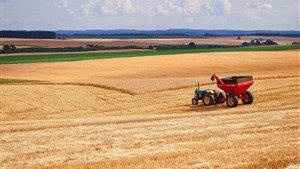 Un forum pour la révision du Plan de développement de la zone agricole