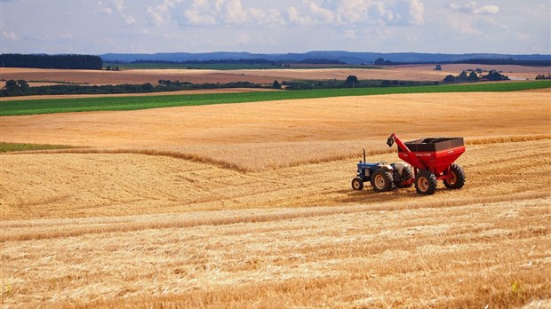 Un forum pour la révision du Plan de développement de la zone agricole