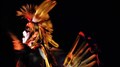 Le Festival Masq’alors! dévoile sa programmation : une  édition des plus Cosmix!
