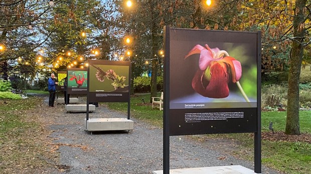 Une 38e saison touristique pour le jardin botanique de Kingsey Falls