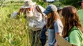 L’étang Burbank accueillera un Bioblitz