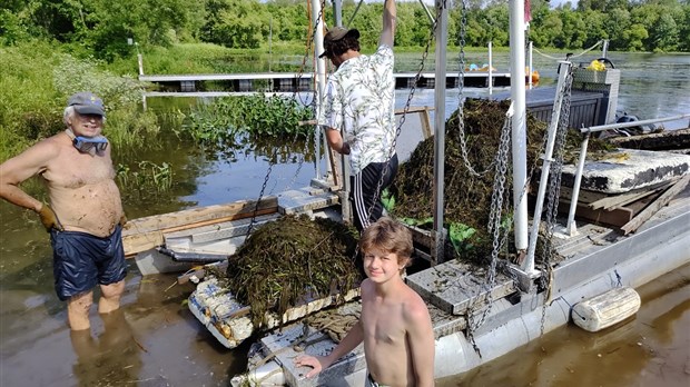 Une formation offerte en arrachage de myriophylle à épis en rive