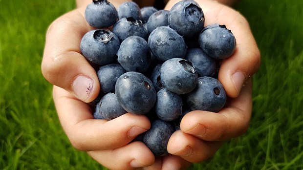 Des outils pour manger local dans le Val-Saint-François