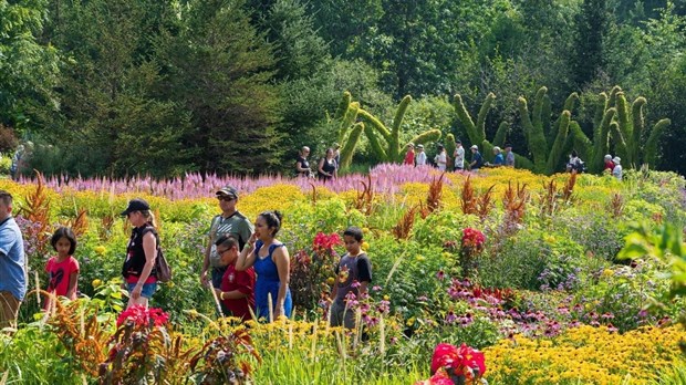 Dimanche gratuit au musée : fort engouement au Parc Marie-Victorin 