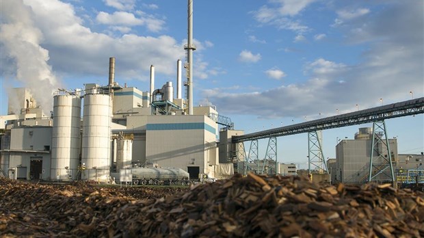 Un incendie à l’usine Domtar plonge Windsor dans la fumée