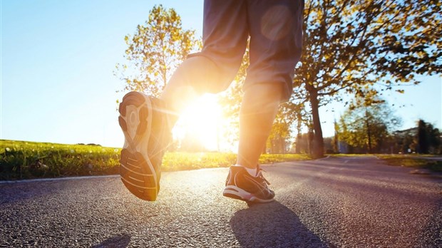 Une joggeuse attaquée par un chien
