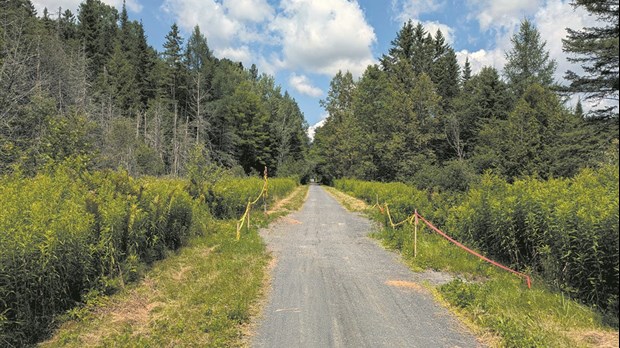Travaux sur le sentier de la Vallée