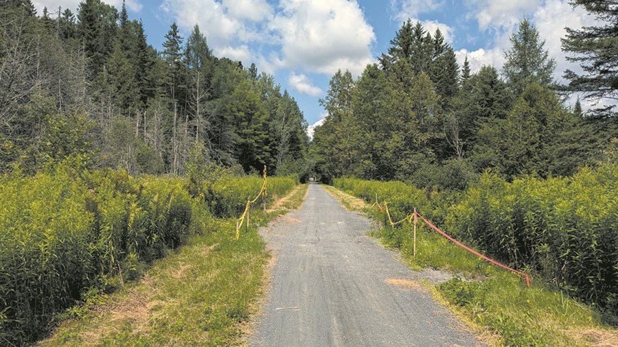 Travaux sur le sentier de la Vallée