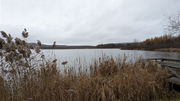 Une 21e édition sous le signe du renouveau