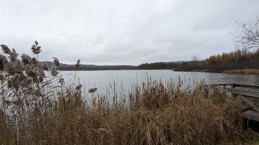 Une 21e édition sous le signe du renouveau